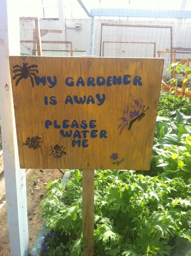 I should make a sign like this - though my garden relies mostly on summer storms when I am away.