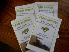 The first four copies of a Team Shrub booklet - printed on the island at the Signal's House Publishing Company, stapled together by hand.