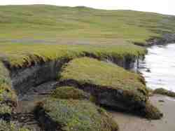 Coastal Erosion small